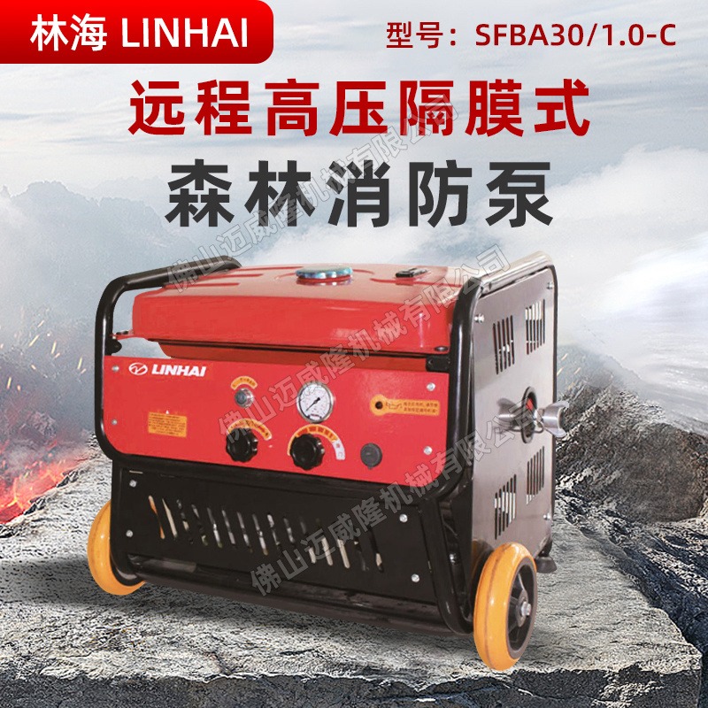 LINHAI林海水泵森林消防灭火泵SFBA30/1.0-C四冲程纯汽油自吸式隔膜泵抽水机