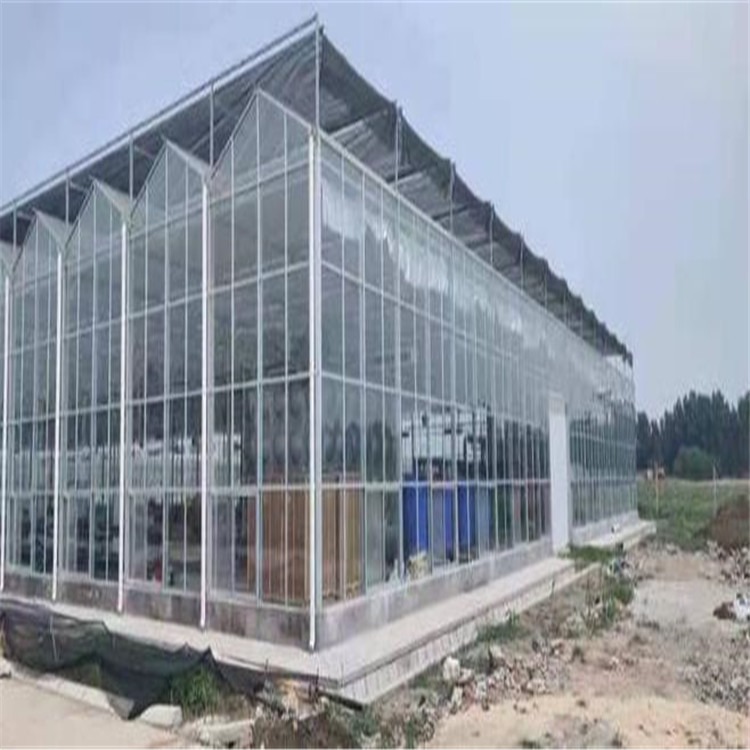 天津智能化大棚加工企业 豇豆冬季温室大棚 旭航温室