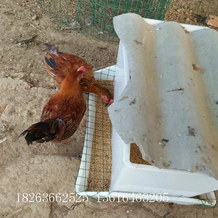 塑料鸭料箱 长方型塑料料箱 家禽喂料箱子 福德中兴工厂直销