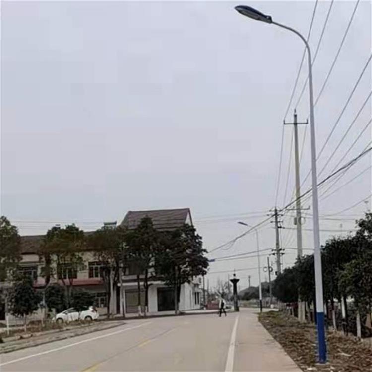 鑫永虹照明 8米单臂市电LED路灯 乡村公路热镀锌工艺