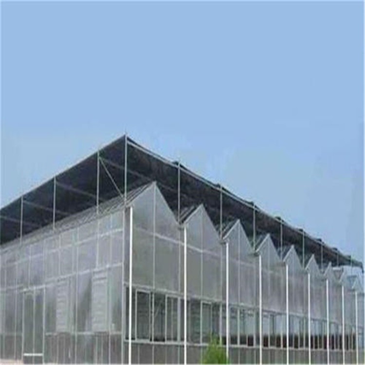 泰州市温室大棚公司 三门峡大棚工程厂家 旭航温室大棚设计图片