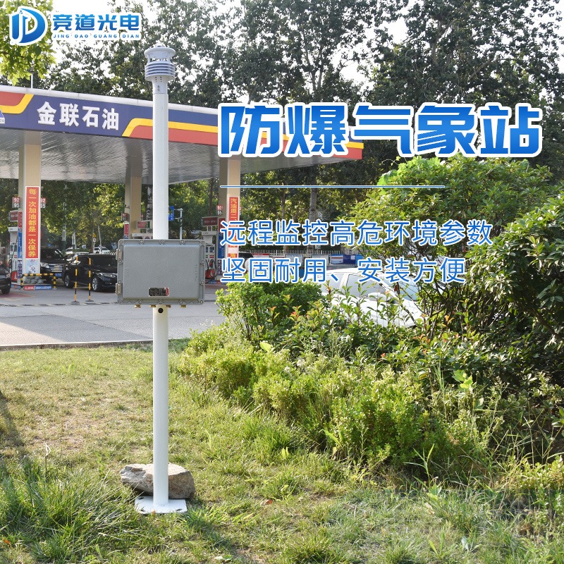 防爆气体监测站 JD-FB 竞道光电 防爆气体监测站 厂家直销