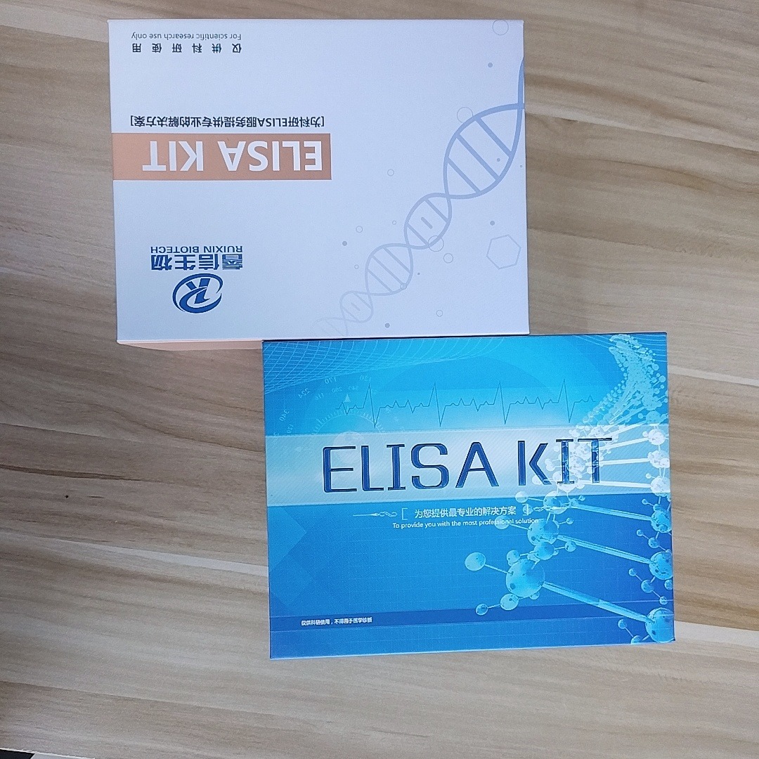 ELISA检测试剂盒 酶联免疫试剂盒 igg抗体试剂盒 睿信生物