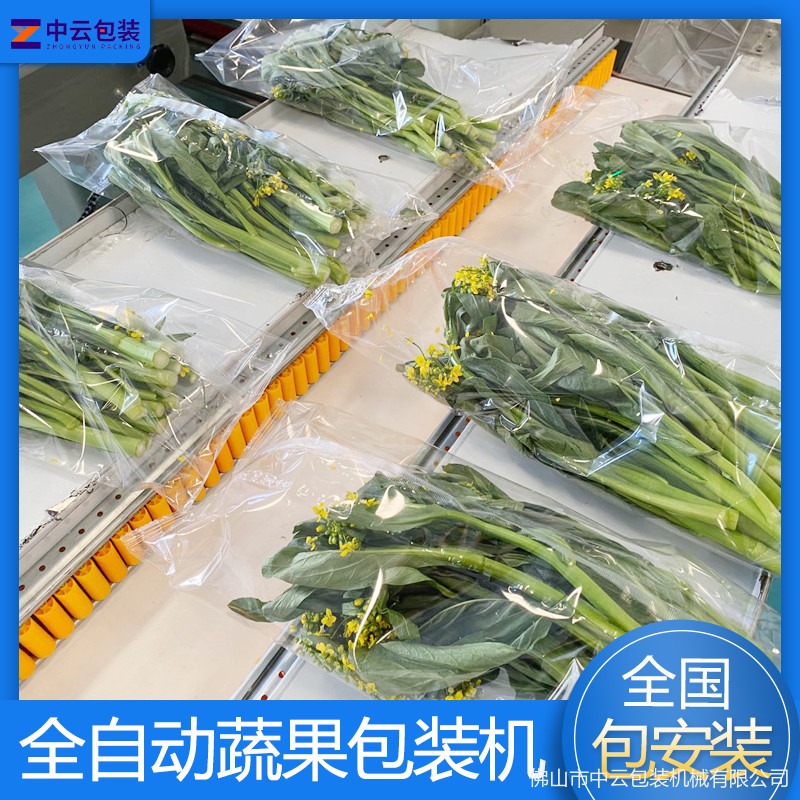 超市蔬菜包装机 青菜瓜果自动打包封口机 中云枕式包装机厂家