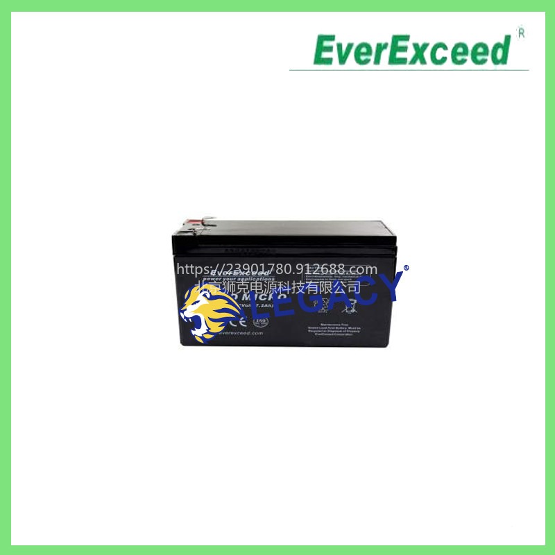英国EVREXCEED蓄电池AINO MICRO蓄电池系列AM12-7.2电池图片