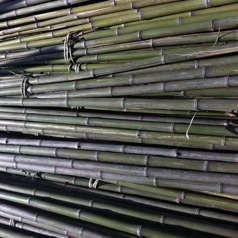 6米2公分粗的温室大棚竹竿 拱棚用竹子