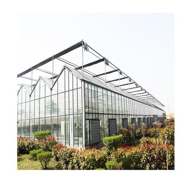 荷兰现代大棚 玻璃球形温室大棚 旭航温室大棚设计