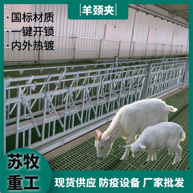 养殖设备固定羊只采食用羊颈夹 新型自锁式羊颈枷热镀锌材质结实耐用