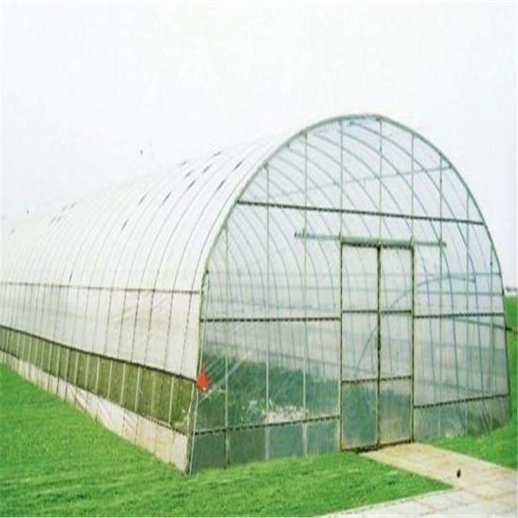 牛蛙养殖大棚生产厂家 抚顺县野菜种植大棚 旭航温室大棚设计