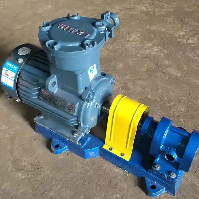 不锈钢泵 2CY3/2.5 高压泵 齿轮泵 鸿海泵业 厂家直销