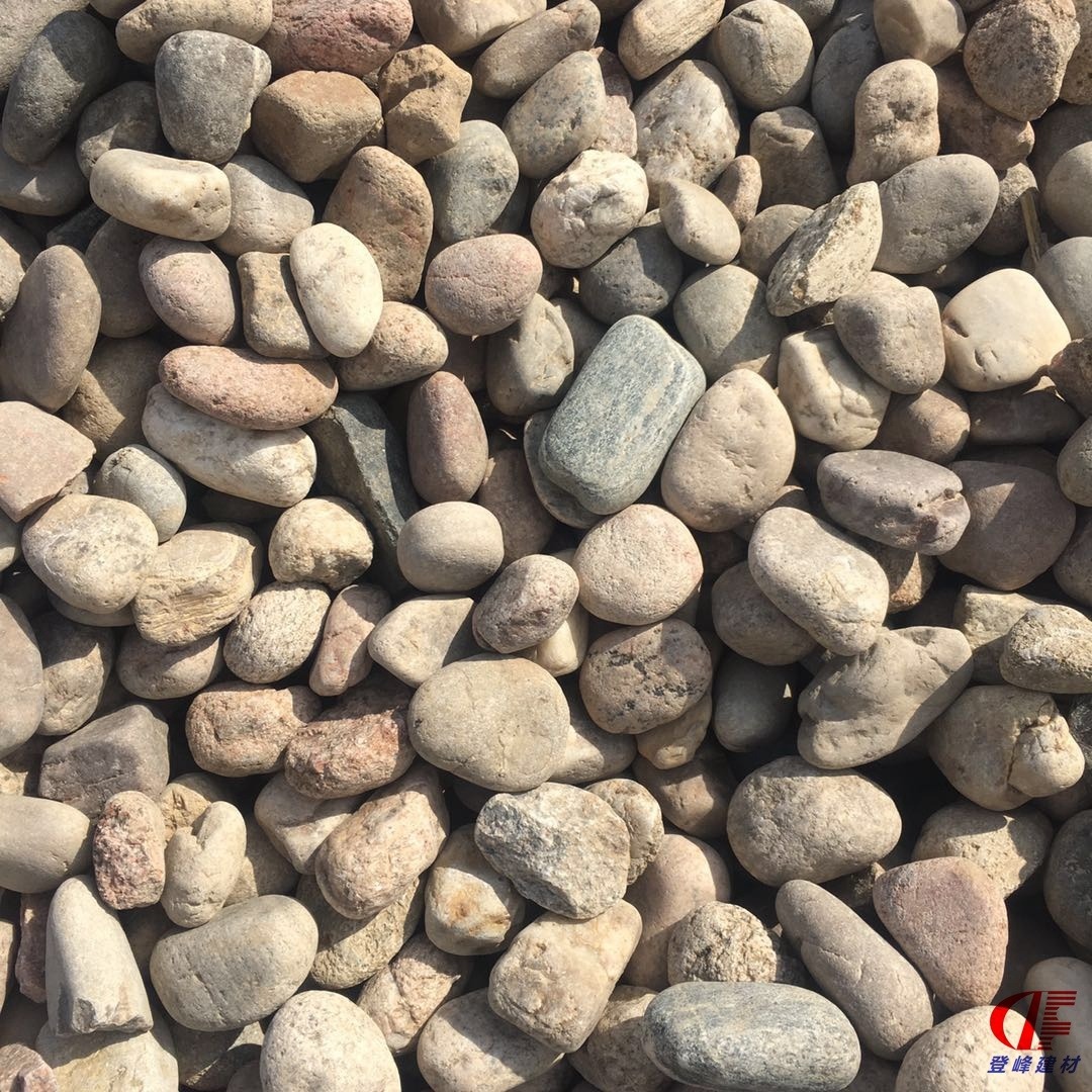 鹅卵石净化水质 取暖用豆石 石笼填充河卵石 变压器下铺河滩石