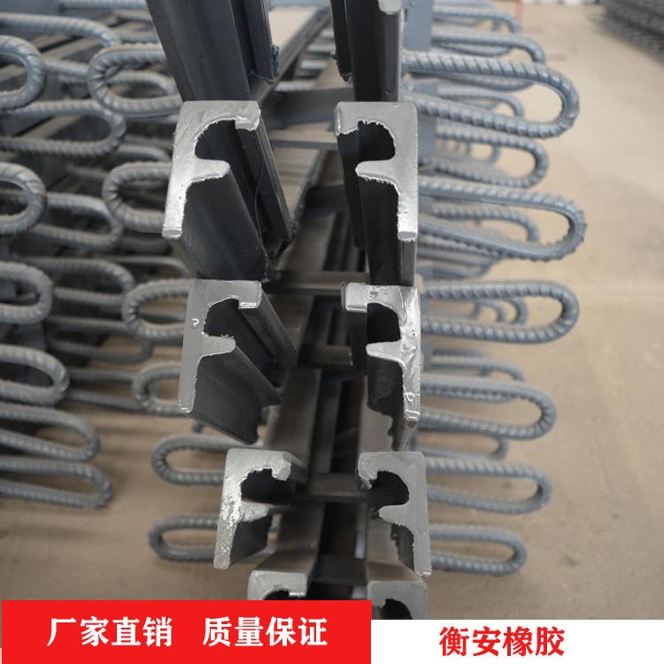 衡安橡胶 E型桥梁伸缩缝 F40型伸缩缝 异性钢伸缩缝图片