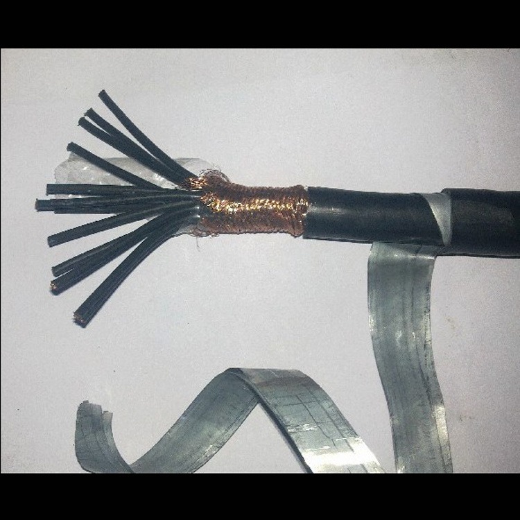 DJYVP2  2X2X1.5铜带屏蔽计算机电缆