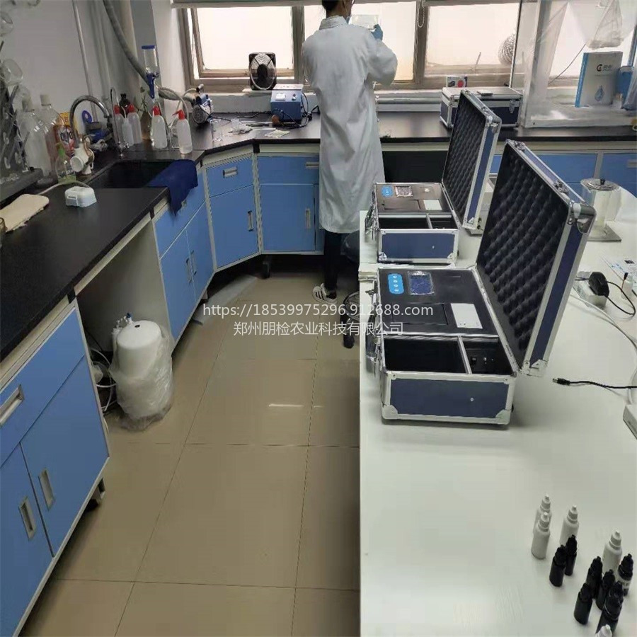 畜禽粪污无害化处理实验室 效果检测化验室仪器设备 朋检品牌PJ-YS400