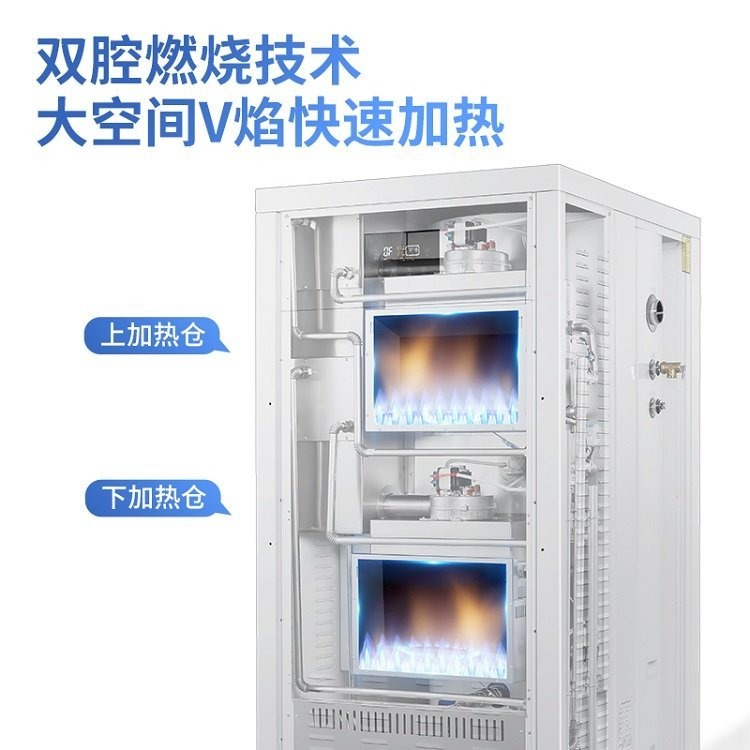 商用冷凝式锅炉 热水器 容积式燃气热水炉 燃气全自动热水炉图片