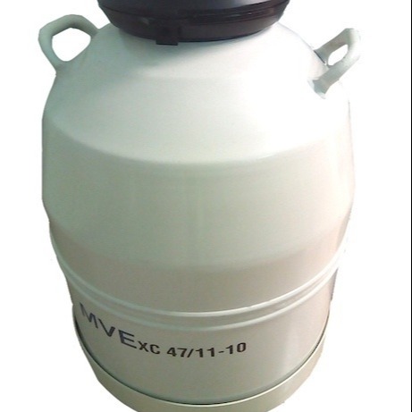 MVE液氮罐 XC47-11/10  XC47-11/6 查特液氮罐 厂家直供 液氮储存罐 进口