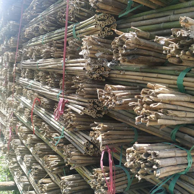 各种规格竹竿子  装潢粗楠竹子  细竹杆  豆角架竹杆