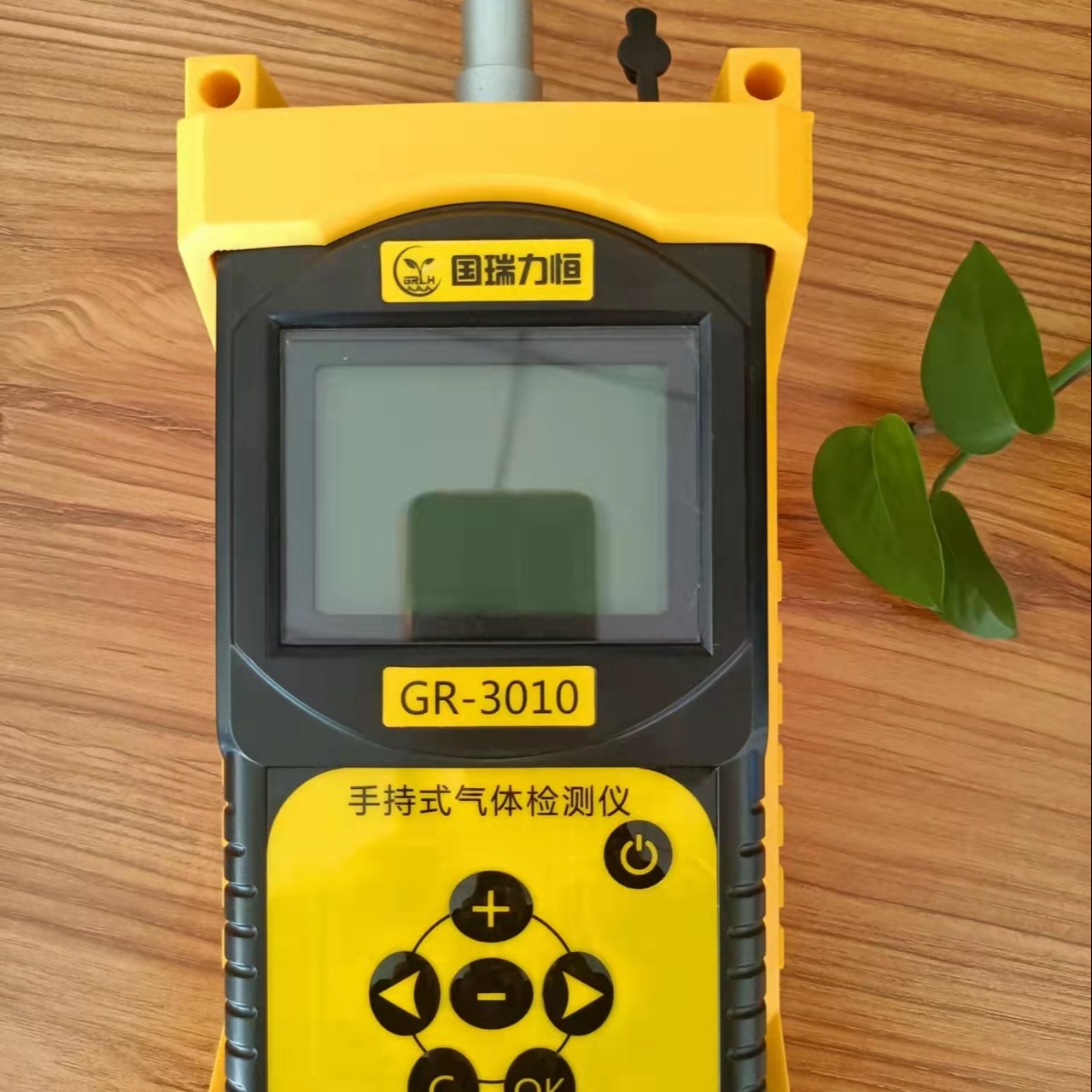 GR-3010型手持式气体检测仪 高精度进口传感器