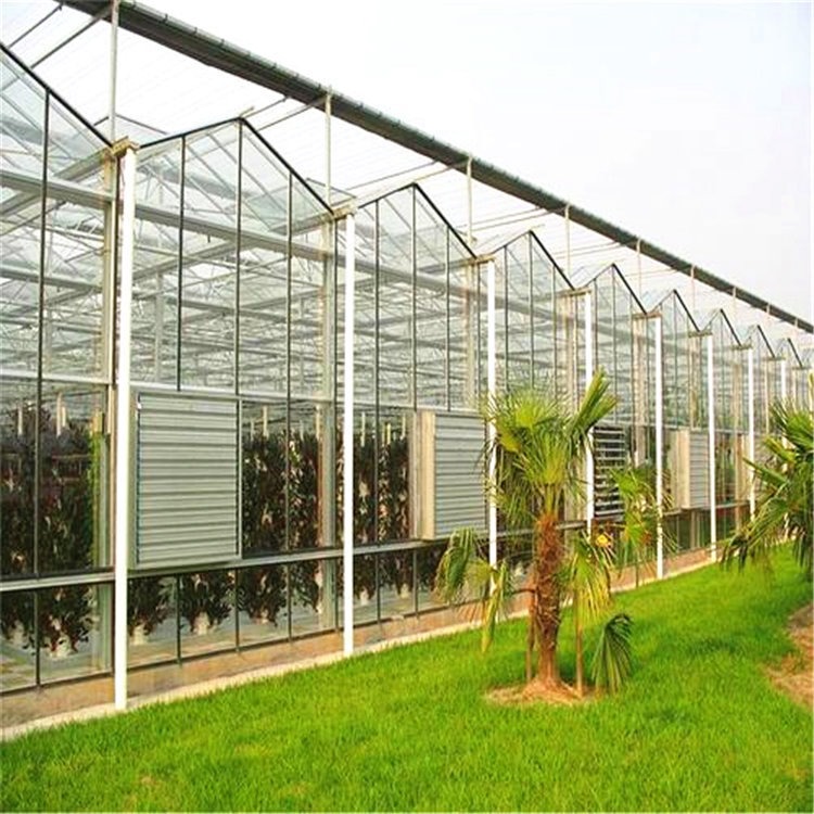 沈阳钢结构生态大棚 数字化智能化玻璃温室 金钠