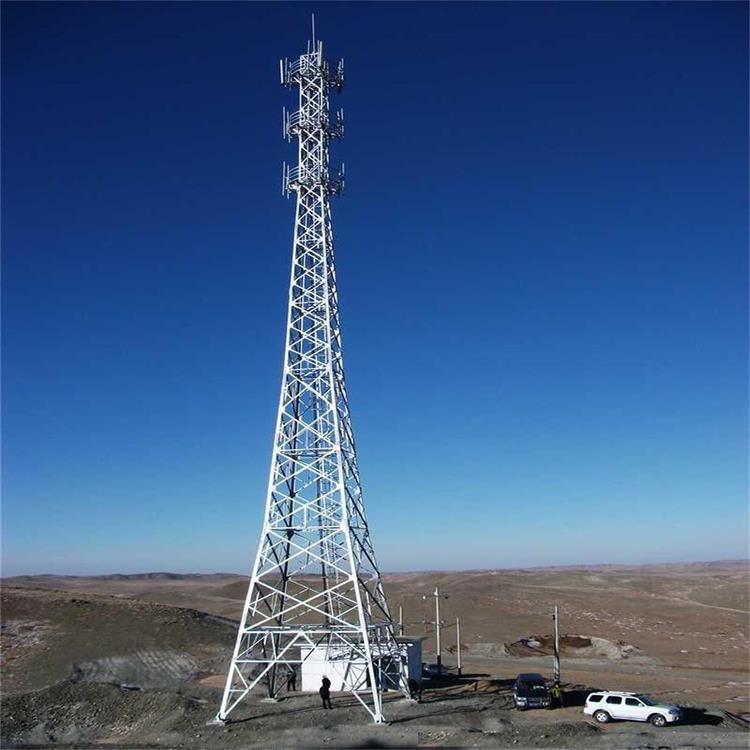 泰翔设计生产40米美化树通信塔 发射通讯塔批发 三管通信塔价格 质保30年图片