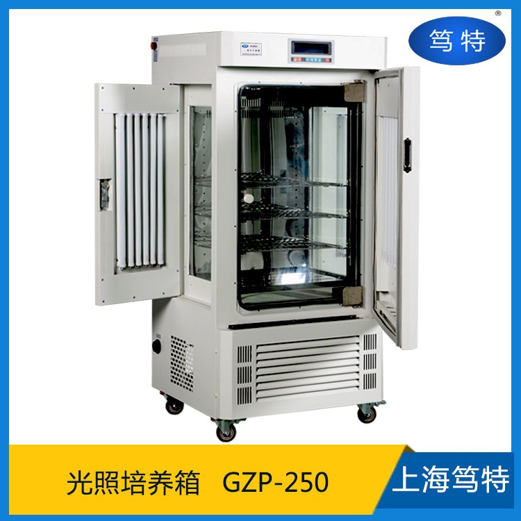 笃特厂家直销GZP-250实验室智能恒温种子发芽箱 250L恒温光照箱