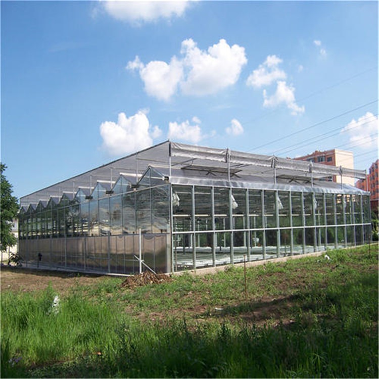 五十亩连栋大棚造价 钢化膜玻璃温室建设方案 旭航温室大棚设计图片