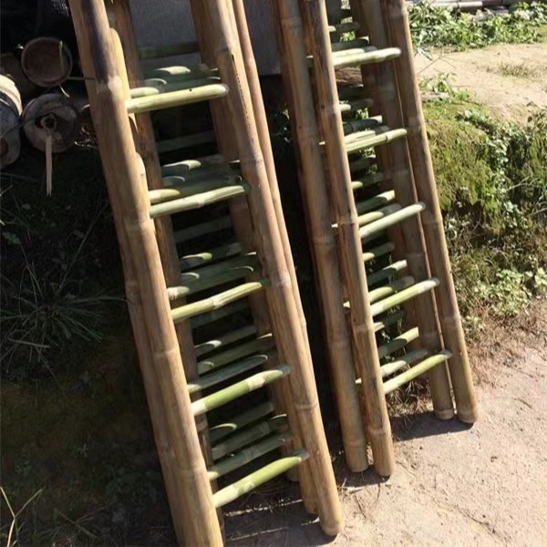 可定制的消防竹梯子  电力局用竹梯摘果子人字梯