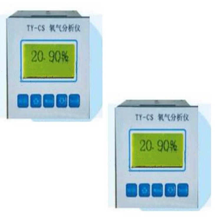 氧气分析仪 型号:YB66/TY-CS-1KA库号：M386549 其他