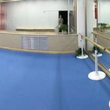 舞蹈室专业地胶 舞蹈房PVC塑胶地板 舞蹈教室地垫 防滑耐磨图片