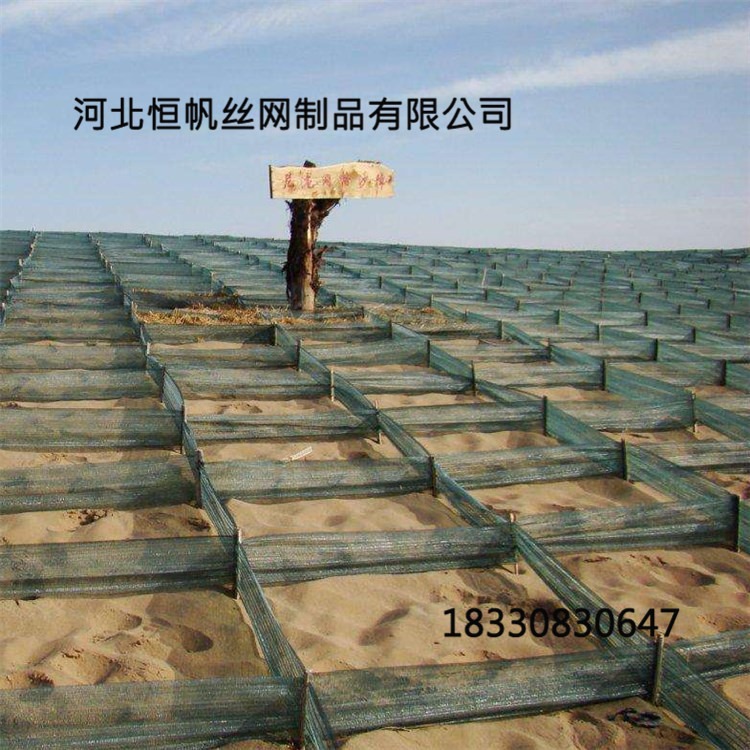 青海湖东种羊场防沙治沙网  人工造林工程固沙网  聚乙烯方格沙障  恒帆
