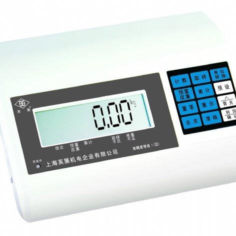 TCS-W(SD型)电子磅秤，高精度隔爆天平图片