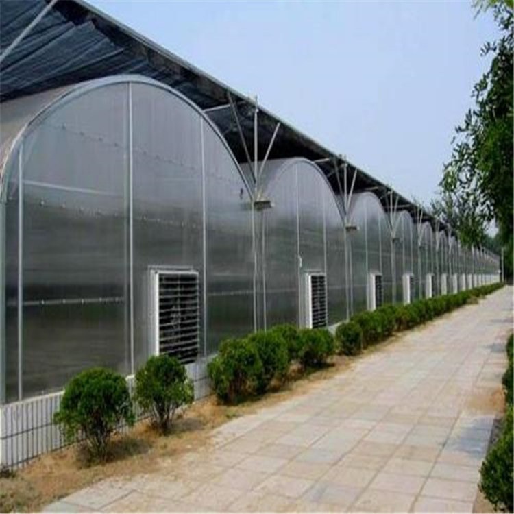 白背毛木耳大棚建造 北京市连体大棚厂家 旭航温室大棚设计