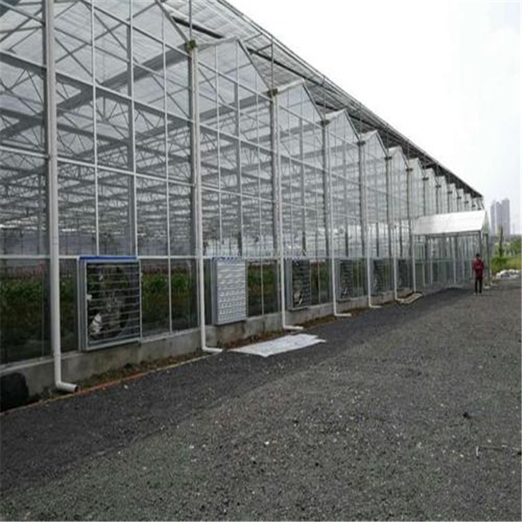 钢架玻璃温室 江苏新型阳光板温室  旭航温室大棚建造