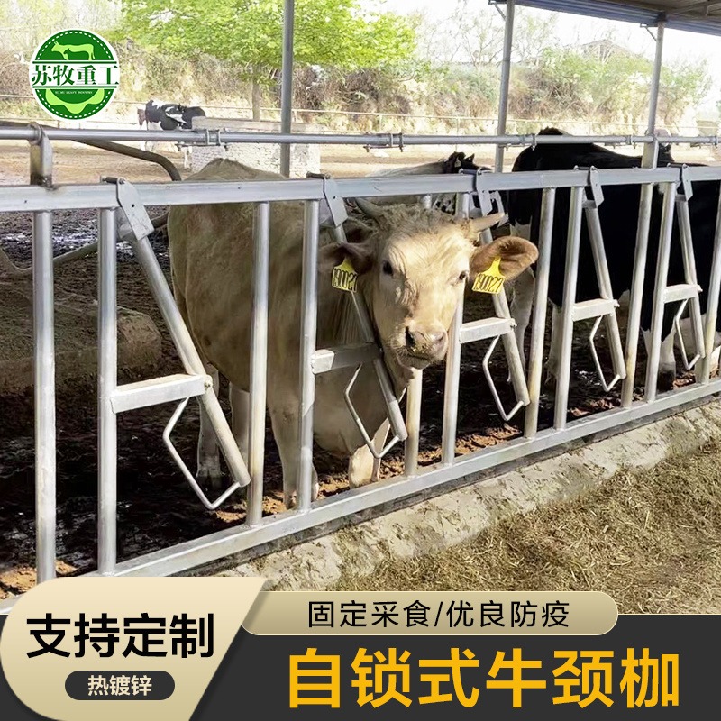 自锁式牛颈枷生产商苏牧重工 养牛设备 6米9位牛颈夹 多种规格可选