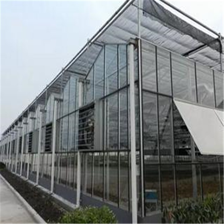 郑州市植物园温室  玻璃恒温种植大棚旭航温室大棚设计