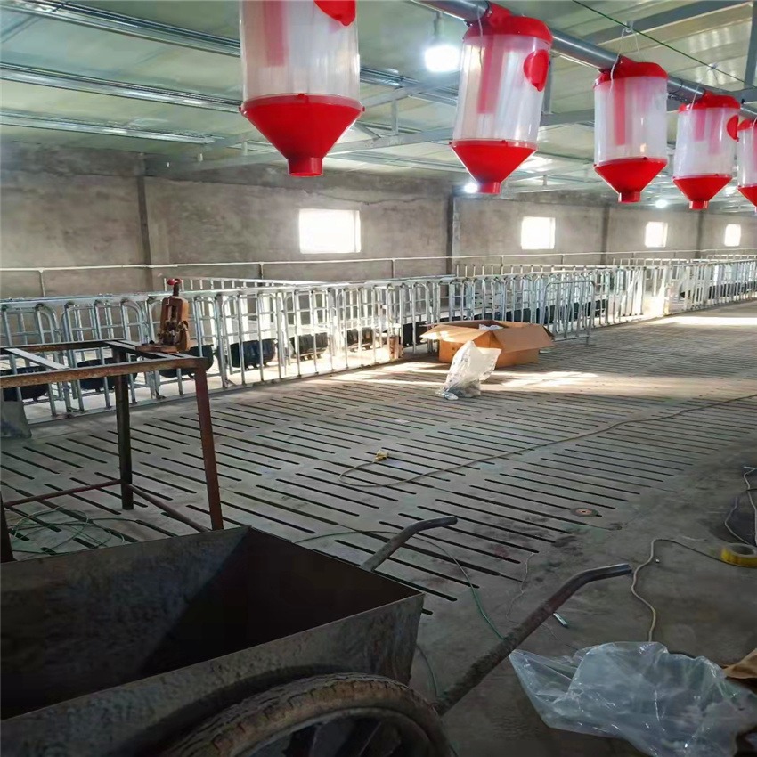 现代化养猪设备 自动料线 养猪场自动化设备 猪哈哈按需供应