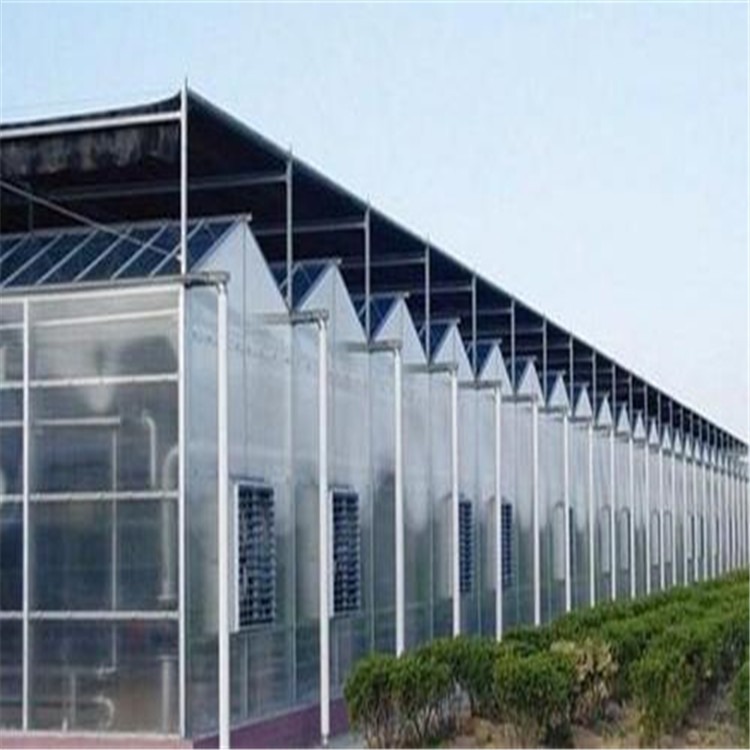 日照阳光板智能温室 北方春暖式大棚旭航温室大棚建造