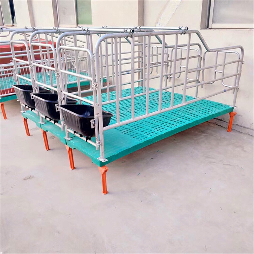 猪哈哈 复合高床定位栏 落地式产床定位栏 母猪保胎栏减少流产率