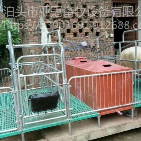养猪设备 生产 双体母猪产床 亚冠畜牧  yg-3  热镀锌产床图片