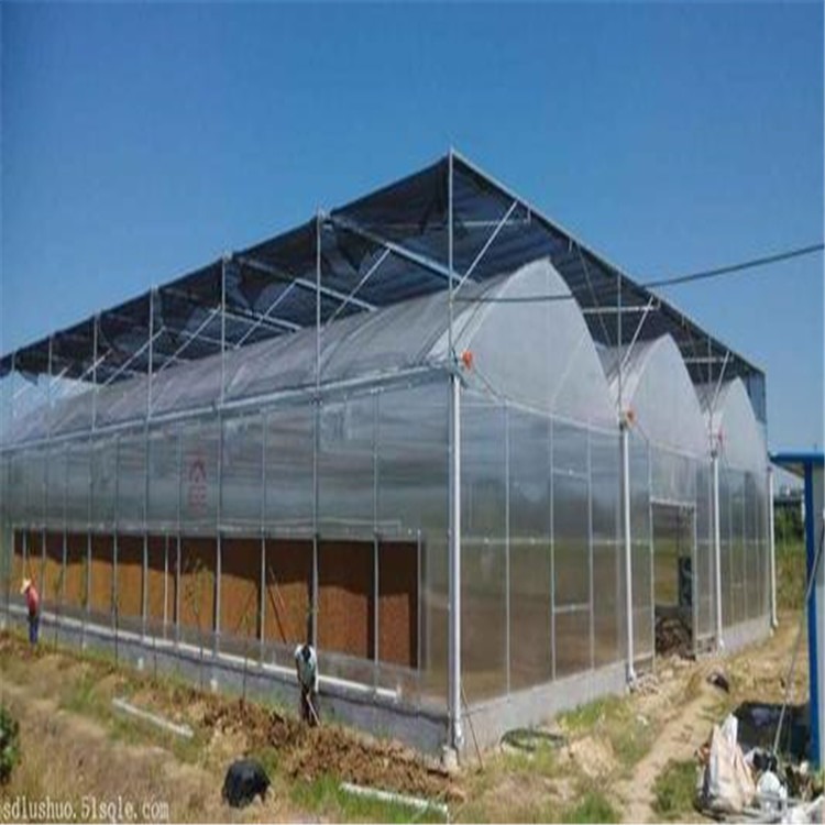莱芜阳光板连栋温室 果树种植大棚 旭航温室建设厂家
