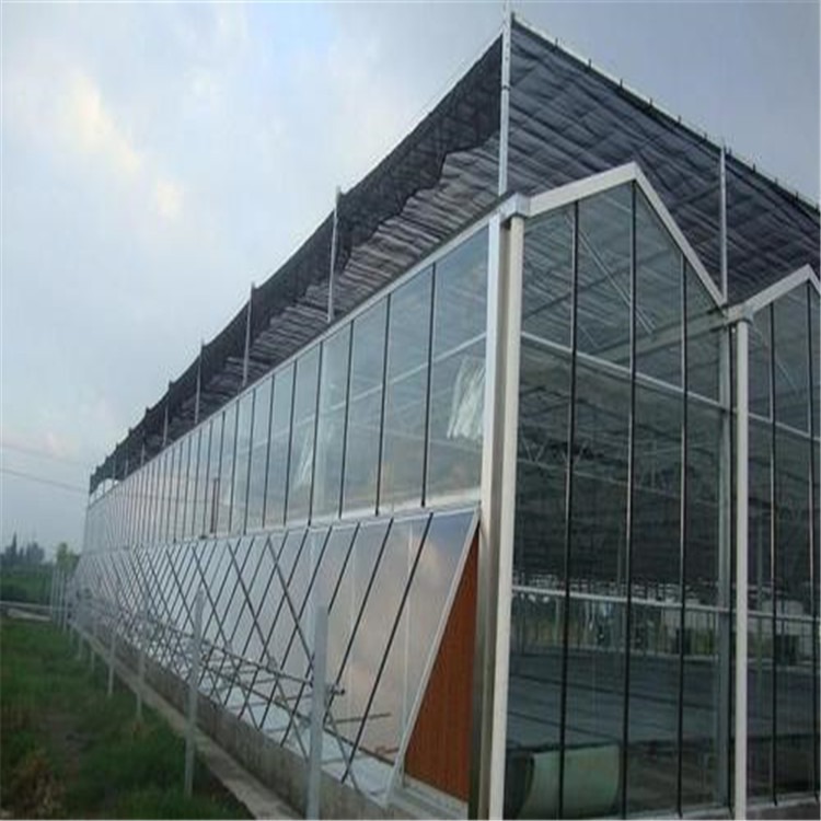 半自动温室大棚 青州市温室工程公司 旭航温室大棚设计