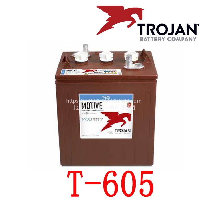 Trojan蓄电池T605美国Trojan电瓶6V210AH升降机观光车户外邱建蓄电池