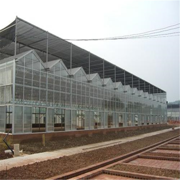 新疆文洛型温室 钢架连栋温室建造旭航温室工程建设厂家