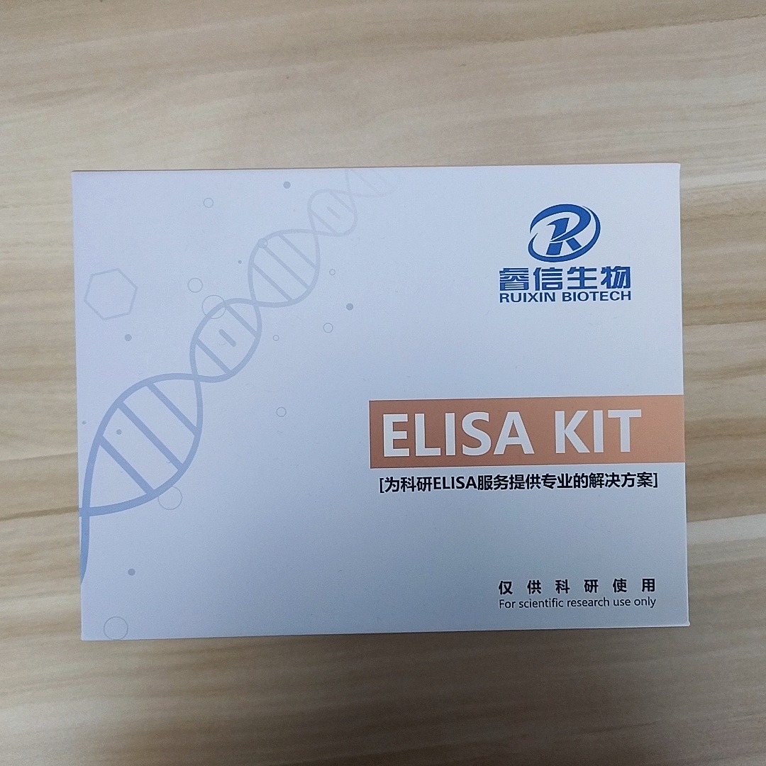 睿信生物 阿达木单抗（TNFα McAb）ELISA试剂盒-定制