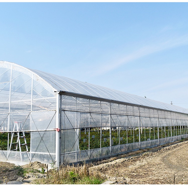 河南定制农业抗风遮阳温室大棚 种植蔬菜大棚骨架 智能温室连栋大棚