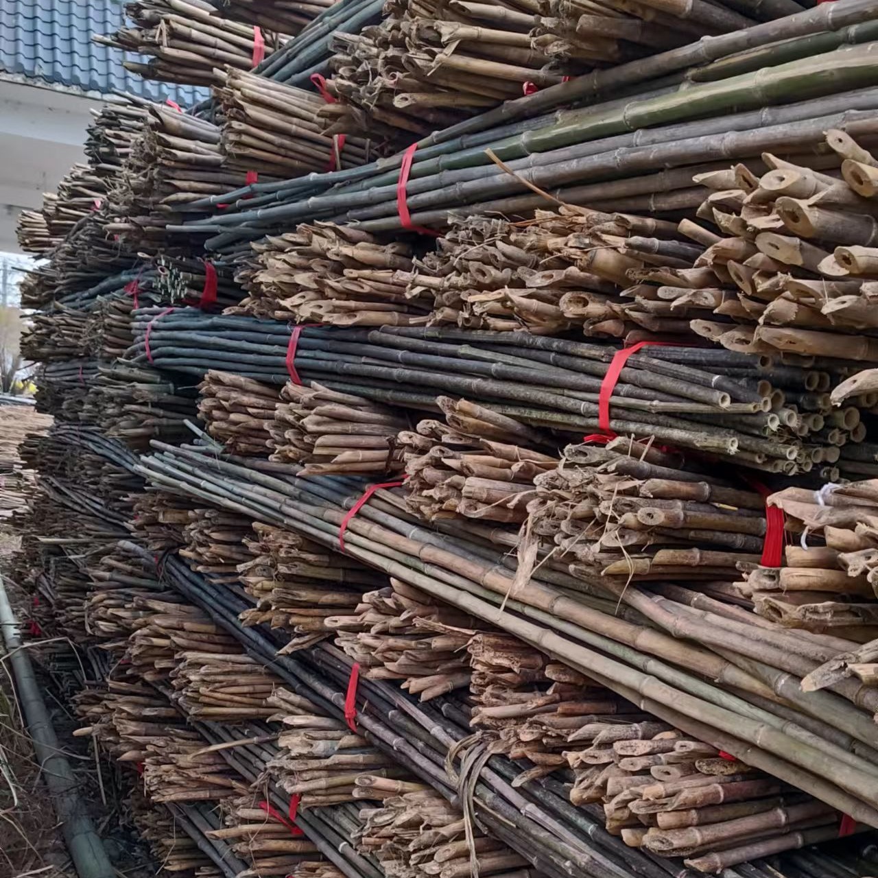 货源地厂家销售农业架杆 2.2米-3米菜架竹杆批发