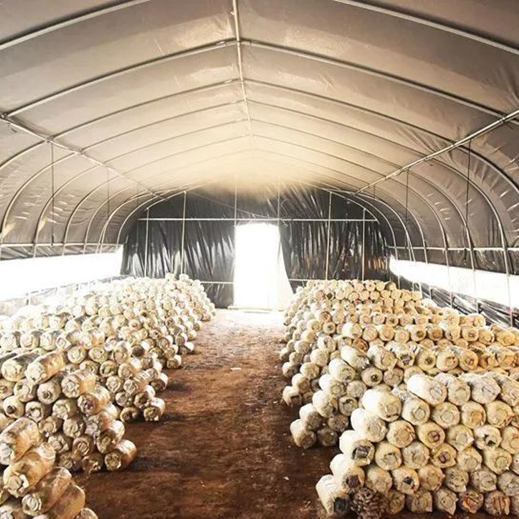 菌菇种植大棚 食用菌种植大棚建设 带保温菌菇种植棚厂家 嘉诺图片